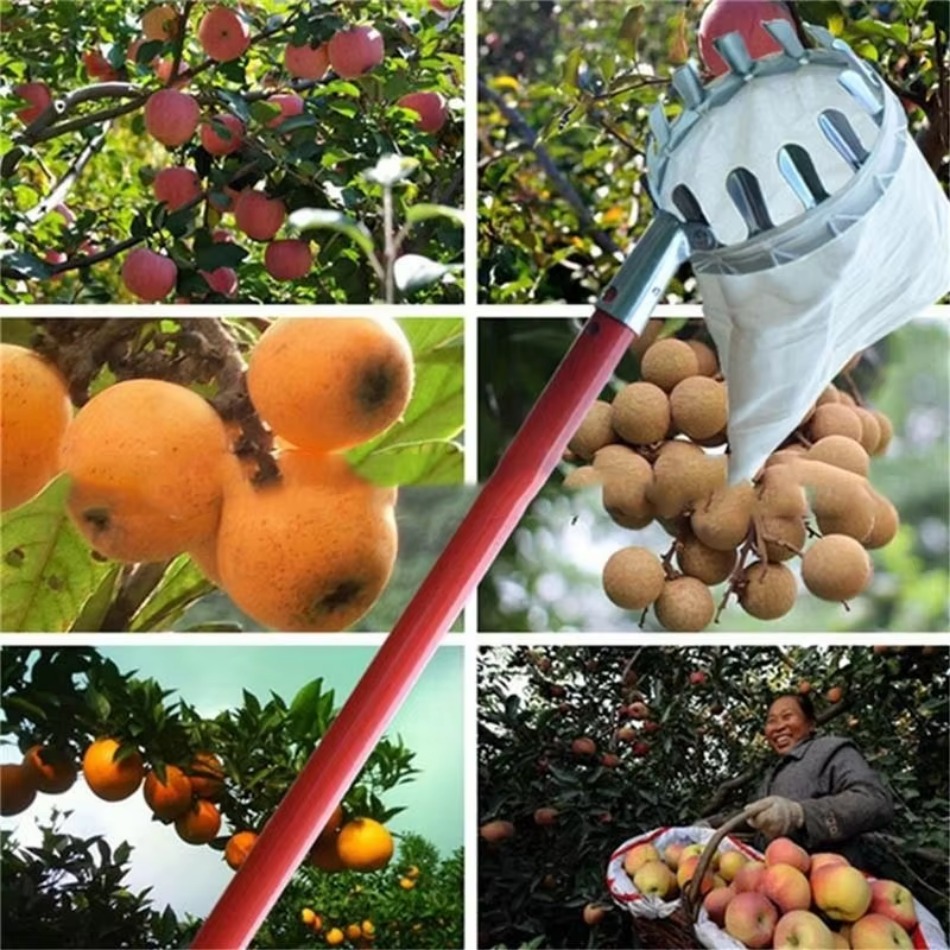 Farming Agriculture Tools - Multifunctionele telescopische gegalvaniseerde ijzeren fruitplukker voor